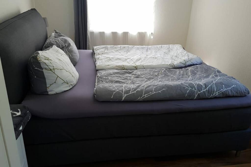 Gemuetliche Haushaelfte Mit Garten Und Terrasse 弗伦斯堡 外观 照片